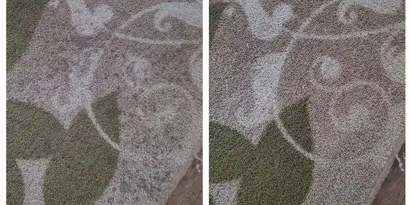 qt=q_29 (1) Two pictures of a carpet with different designs.